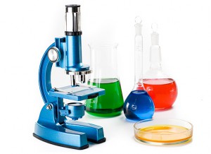 lab