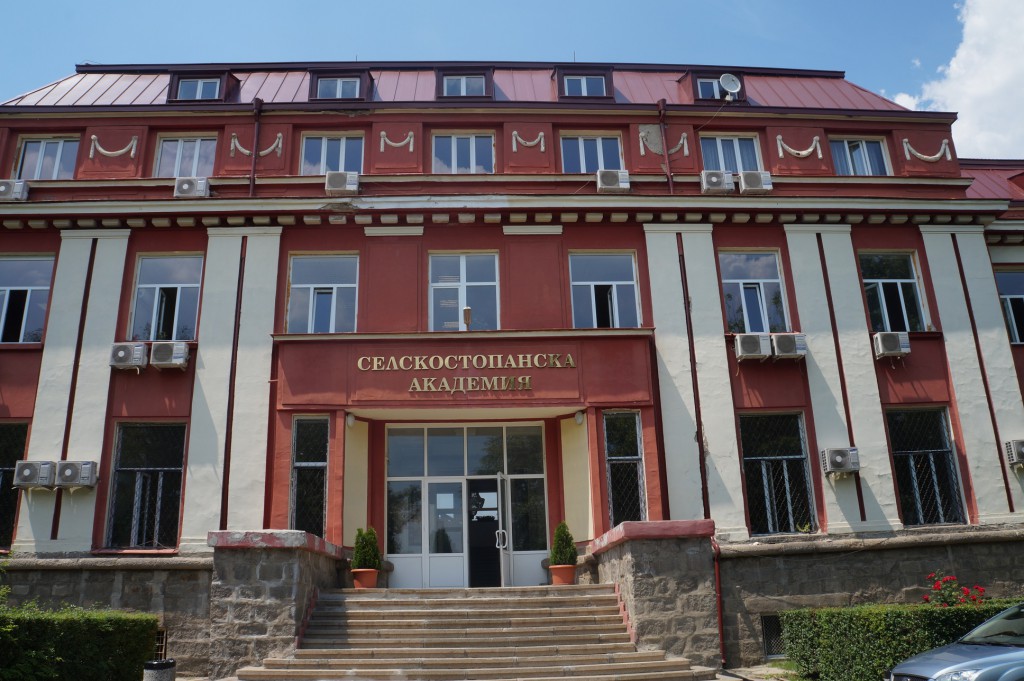 SSA