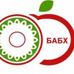 BABH-Logo