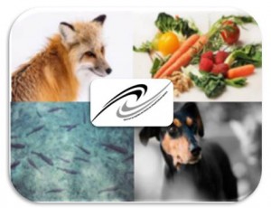 EFSA1