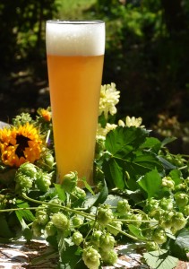 Bier-Hmel