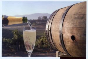 wine-Bure
