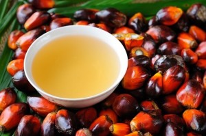 palm-oil-and-fruit-small