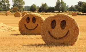 straw-3582461_960_720