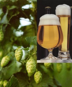 beer-1