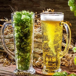 Hmel-Bier