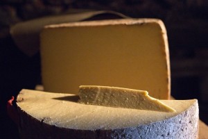 Salers-cheese