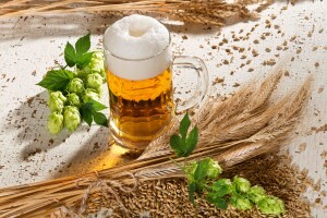 Beer,Glass