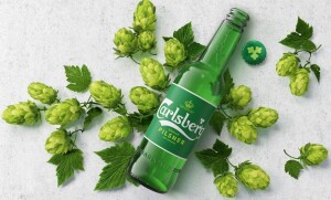 cb_nd_hops_-_bottle_rgb_72dpi-3
