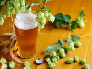 Beer 5