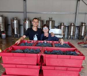 uht-vino-1