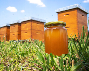 honey