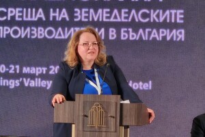 tanja georgieva
