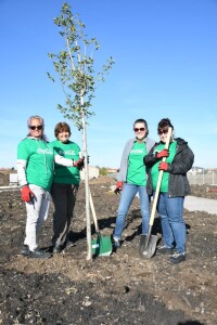 Reforestation action_Kostinbrod (1)