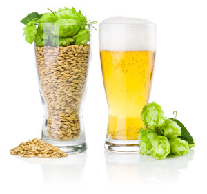UBB Beer & Hops 1