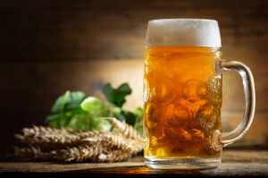 UBB Beer & Hops 2