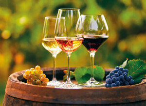 vino