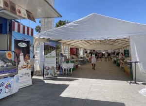 milk-Lukovit-2